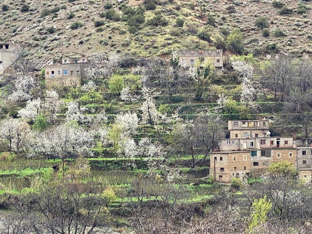 Amlougui House Bed & Breakfast Asgaour Bagian luar foto